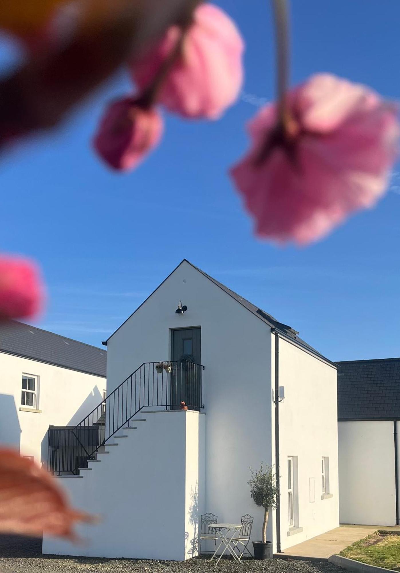 The Loft Curracloe, On Wexfords Coastal Scenic Route Leilighet Eksteriør bilde